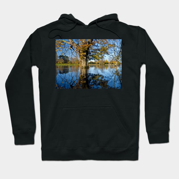 Horse Chestnut in the flooded River Ouse, York, England Hoodie by GrahamCSmith